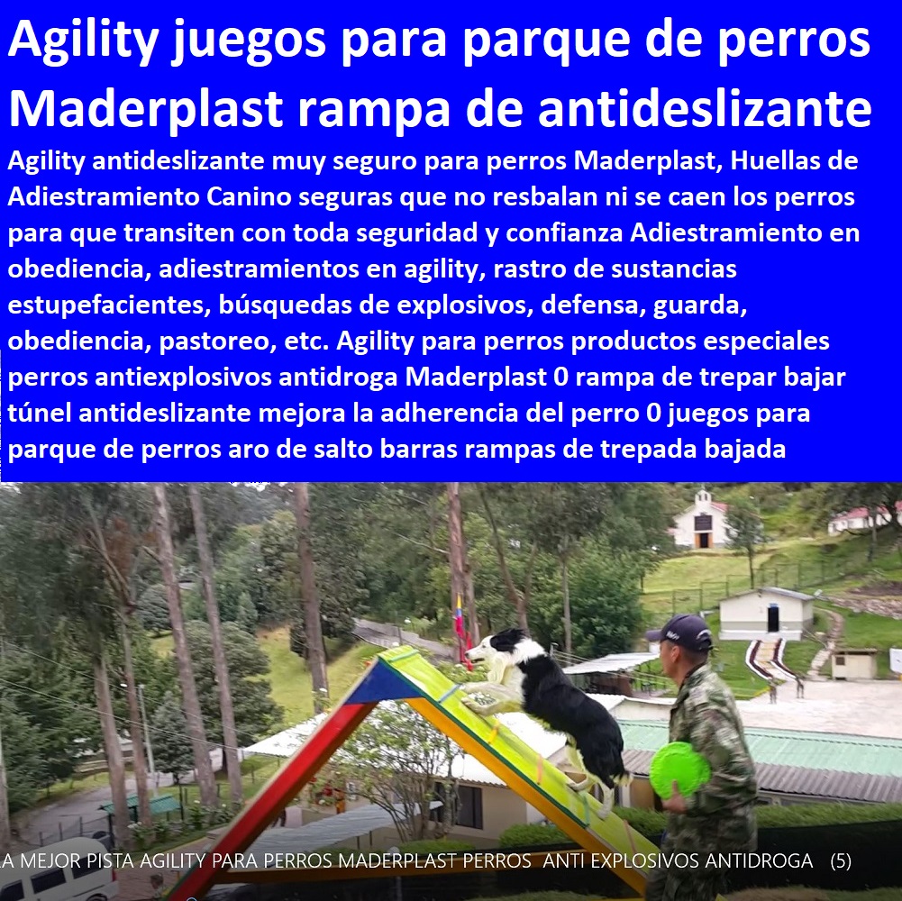 Agility para perros productos especiales perros antiexplosivos antidroga Maderplast 0 rampa de trepar bajar túnel antideslizante mejora la adherencia del perro 0 juegos para parque de perros aro de salto barras rampas de trepada bajada Agility para perros productos especiales perros antiexplosivos antidroga Maderplast 0 Caninos Para Perros, Equipo De Agility Para Perros, Cunas Y Parideras Para Perros, Parques Para Perros, Corrales Para Perros, Jaulas cuidado de perros, Casas Para Perros Y Mascotas, Agility De Perros, Pistas De Adiestramiento, rampa de trepar bajar túnel antideslizante mejora la adherencia del perro 0 juegos para parque de perros aro de salto barras rampas de trepada bajada